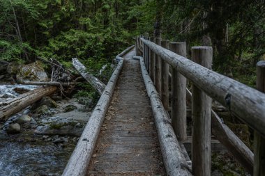 Kuzey Şelaleleri Ulusal Parkı 'ndaki Panter Deresi üzerindeki Uzun Kütük Köprüsü