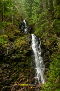 Rainier Dağı Ulusal Parkı 'nda Su Düşüyor Ranger Şelalesinden