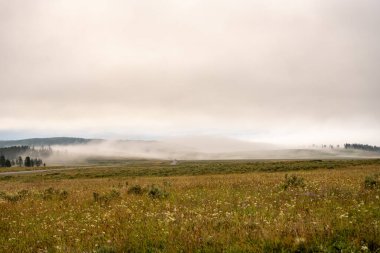 Yellowstone 'daki Hayden Vadisi' nden geçen Alumn Creek 'in üzerinde sis var.