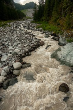 Karbon Nehri 'nin çamurlu nehri Rainier Dağı' ndaki karbon buzulundan akıyor.