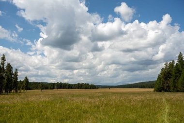 Yellowstone Ulusal Parkı 'ndaki Mary Dağı Yolu' nun Üzerinde Yağmur Bulutları İnşa Ediyor