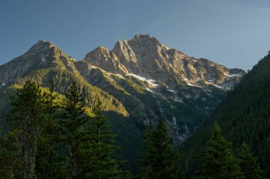 Kuzey Şelaleleri Ulusal Parkı 'ndaki yemyeşil ormanın yukarısındaki Koloni Tepesine Kar Yapışır