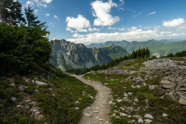 Rainier Dağı Ulusal Parkı 'ndaki Rocky Meadow' da Püskürtme Parkı Rüzgarları