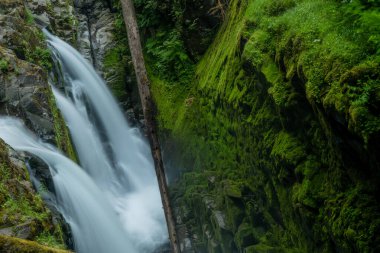 Sol Duc Falls 'un Üç Kolu Olimpiyat Ulusal Parkı' ndaki yosunlu kayalıklardan yuvarlandı