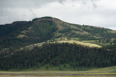 Yellowstoneg 'da Bulutlu bir günde Lamar Vadisi' nde Güneş Işığı Tepesi Yamaları