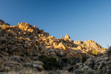 Joshua Tree Ulusal Parkı 'ndaki Rocky Tepesi Yamalı Işık Parıltısı