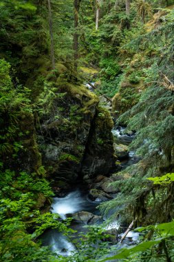 Sol Duc Nehri Dar Kanyon 'dan Ünlü Şelaleler' in Ötesine, Bir Kanyon 'a doğru akıyor.