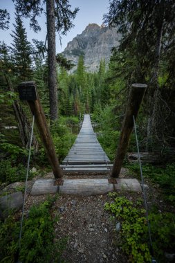 Wooden Suspension Bridge Stretches Out Over Kintla Creek in Glacier National Park clipart