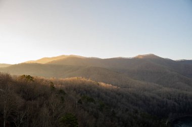Sabah Güneşi, Kuzey Carolina 'daki Dumanlı Dağlar' ın üzerindeki Wiinter 'daki Çıplak Ağaçlar' ı vurguluyor