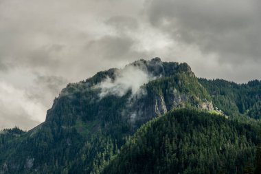 Rainier Dağı Ulusal Parkı 'ndaki Ana Dağ' da Sis Yaması Asılıyor