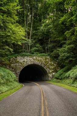 Blue Ridge Parkway 'in ortasında dikilip Blue Ridge Parkway' deki Büyük Cadı Tüneli 'ne doğru bakıyor.