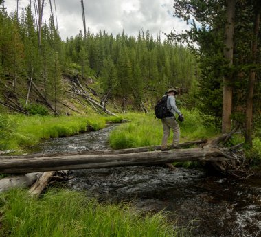 Yellowstone Ulusal Parkı 'ndaki Ağaç Gövdesi Köprüsü' nde Yürüyüş Altında Su Akıntısı