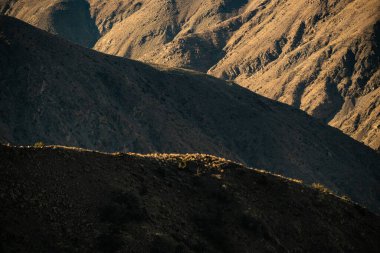 Güneş Işığı Çöl Dağlarının Katmanları