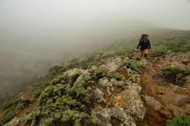 Yürüyüşçü Kanal Adaları Ulusal Parkı 'ndaki siste Montanon Tepesi' ne doğru dik patikaya tırmanır.