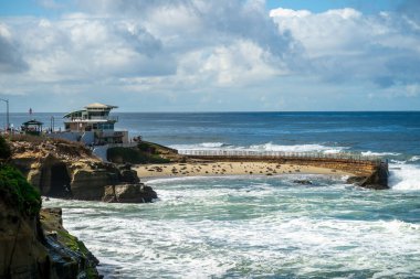 Fokların Uzaktan Görünümü Kaliforniya kıyısı boyunca La Jolla 'daki Çocuk Havuz Sahili' ni kaplıyor