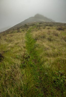 Kanal Adaları Ulusal Parkı 'ndaki Montanan Tepesi' ne doğru Soluk Yol Çimlere Yıprandı
