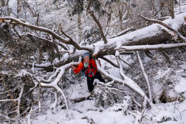 Karla kaplı ağaca tırmanan kadın Dumanaltı Yolu 'nda devrildi.