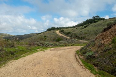 Kanal Adaları Ulusal Parkj Santa Cruz Adası 'nda Donanma Yolu Virajları