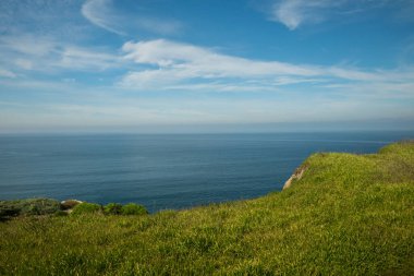 Blue Skies Over Grassy Shore of Santa Cruz Adası Kanal Adaları Ulusal Parkı