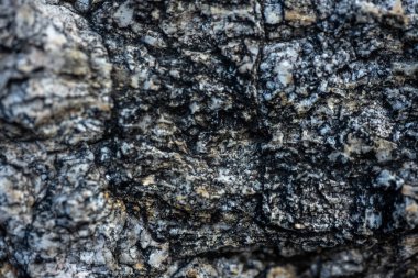 Arizona 'daki Sabino Kanyonunda Gneiss Kayası Yakından