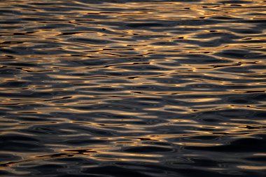 Acadia Ulusal Parkı 'ndaki Maine' de, Atlantik Okyanusu 'ndaki Sakin Dalgalar Altında Altın Gün Batımı Işığı Parlıyor