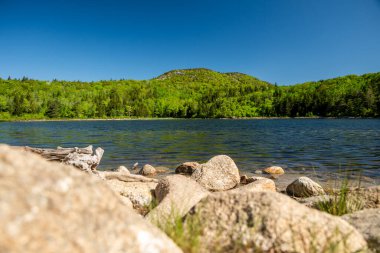 Acadia Ulusal Parkı 'ndaki Bowl' un Rocky Shore 'una bakıyorum.