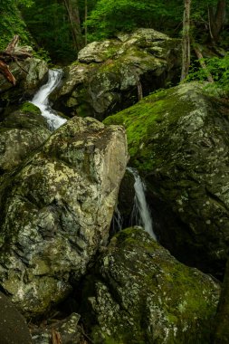 Shenandoah Ulusal Parkı 'ndaki Cedar Run boyunca kayaların arasından Dar Su Düşüyor