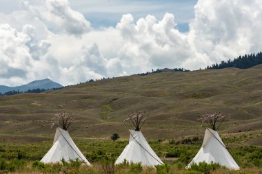Gardiner Montana 'da Rüzgarda Pembe Kurdeleler Esiyor