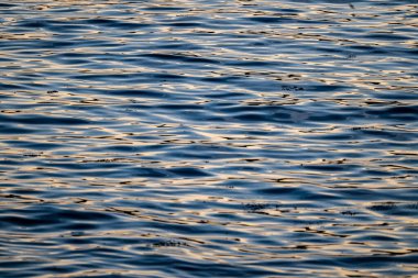 Acadia Ulusal Parkı 'nda Akşamları Dalgalanan Deniz Mavi Su