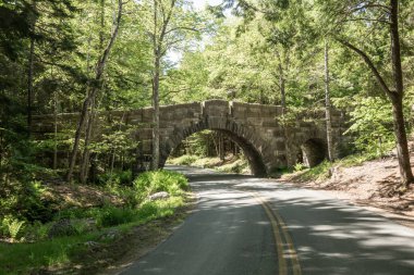 Acadia Ulusal Parkı 'ndaki Stanley Brook Köprüsü Altında Yol Kavisleri