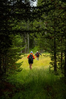 İki yürüyüşçü Koyu Çam Ağacı Tüneli 'nden çıkıp Yellowstone' daki Parlak Çayır 'a çıkıyor.