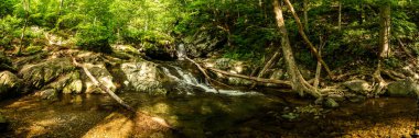 Shedandoah Ulusal Parkı 'nda Cedar Run' ın dibinde şelale.