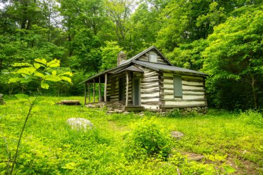 Shenandoah Ulusal Parkı Ormanlarındaki Tarihi Kulübe