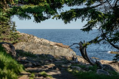 Istakoz Bob 'u Acadia Ulusal Parkı' nın Rocky Sahili boyunca tuzağa düşürdü.