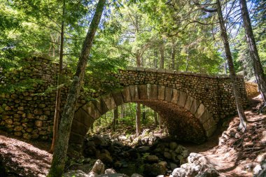 Rocky Patikası Acadia Ulusal Parkı 'ndaki kaldırım taşı köprüsünün altından geçiyor.