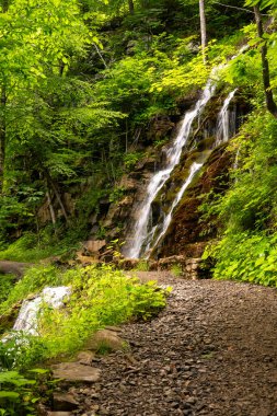 New River Gorge 'daki Kaymoor Yolu' ndaki Wolf Creek patikalarının yan görüntüsü