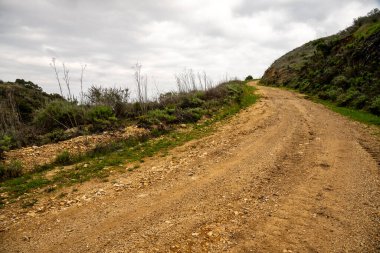 Virajlı Toprak Yol Kanal Adaları Ulusal Parkı 'ndaki Santa Cruz Adası' nın dik tepelerine tırmanıyor.