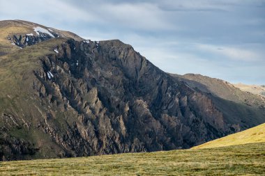 Rocky Dağı Ulusal Parkı 'ndaki Jagged Mountain Side' a doğru bakan Acros Yeşil Tundra Alanı