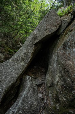Acadia Ulusal Parkı 'ndaki Dev Kaydırak Yolu boyunca Dar Tünel