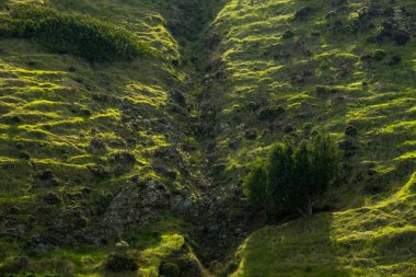 Sabah Işığı Kanal Adaları Ulusal Parkı 'ndaki Yeşil Tepe' ye Dokulu Çizgiler Üzerinde