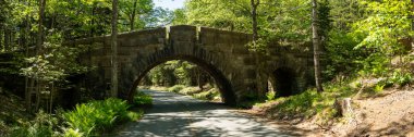 Park Yolu, Acadia Ulusal Parkı 'ndaki Stanley Brook Köprüsü' nün altından geçiyor.