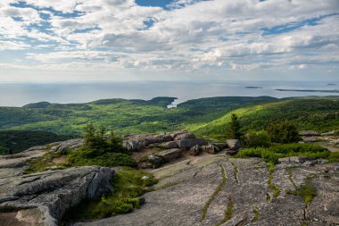 Acadia Ulusal Parkı 'ndaki Cadillac Dağı' nın yamaçlarında Gölge ve Işık Parçaları