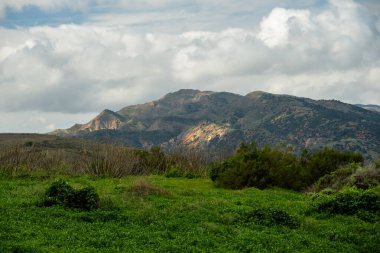 Manş Adaları Ulusal Parkı 'ndaki Montanon Sırtı Güneşe Vurgulandı