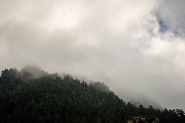 Yoğun bulutlar Rainier Dağı Ulusal Parkı 'nın üzerinde asılı duruyor
