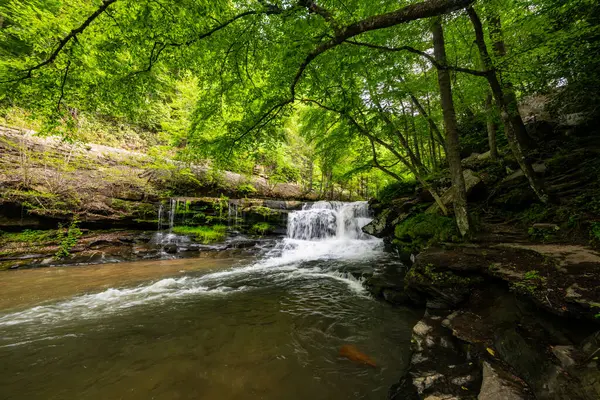 Dunloup Creek 'in Geniş Açısı ve New River' daki Şelale