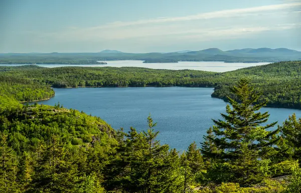 Acadia 'da Atlantik Okyanusu' nun önündeki Kartal Gölü