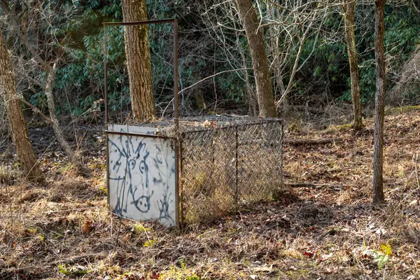 Vahşi domuz tuzağı Büyük Dumanlı Dağlar Ulusal Parkı 'nın ormanında saklı.