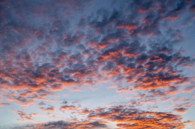 Mor Bulutlar Şafakta Kırsal Kansas 'ta Gökyüzünde