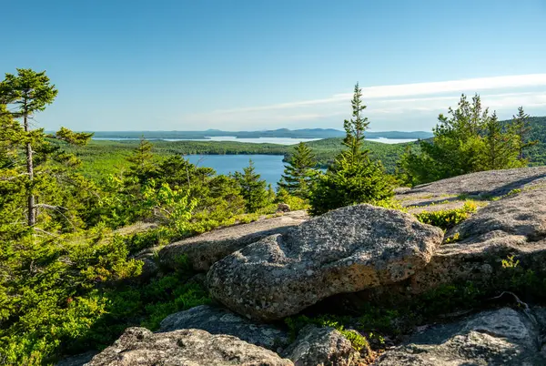 Acadia 'daki Kartal Gölü manzaralı Çam Ağacı Granit Kayalıkları