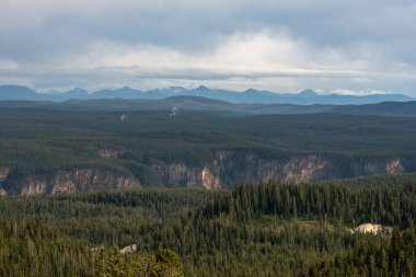 Yellowstone 'un Büyük Kanyonu Yazın Rim' deki Derin Yeşil Ormanı ikiye böler